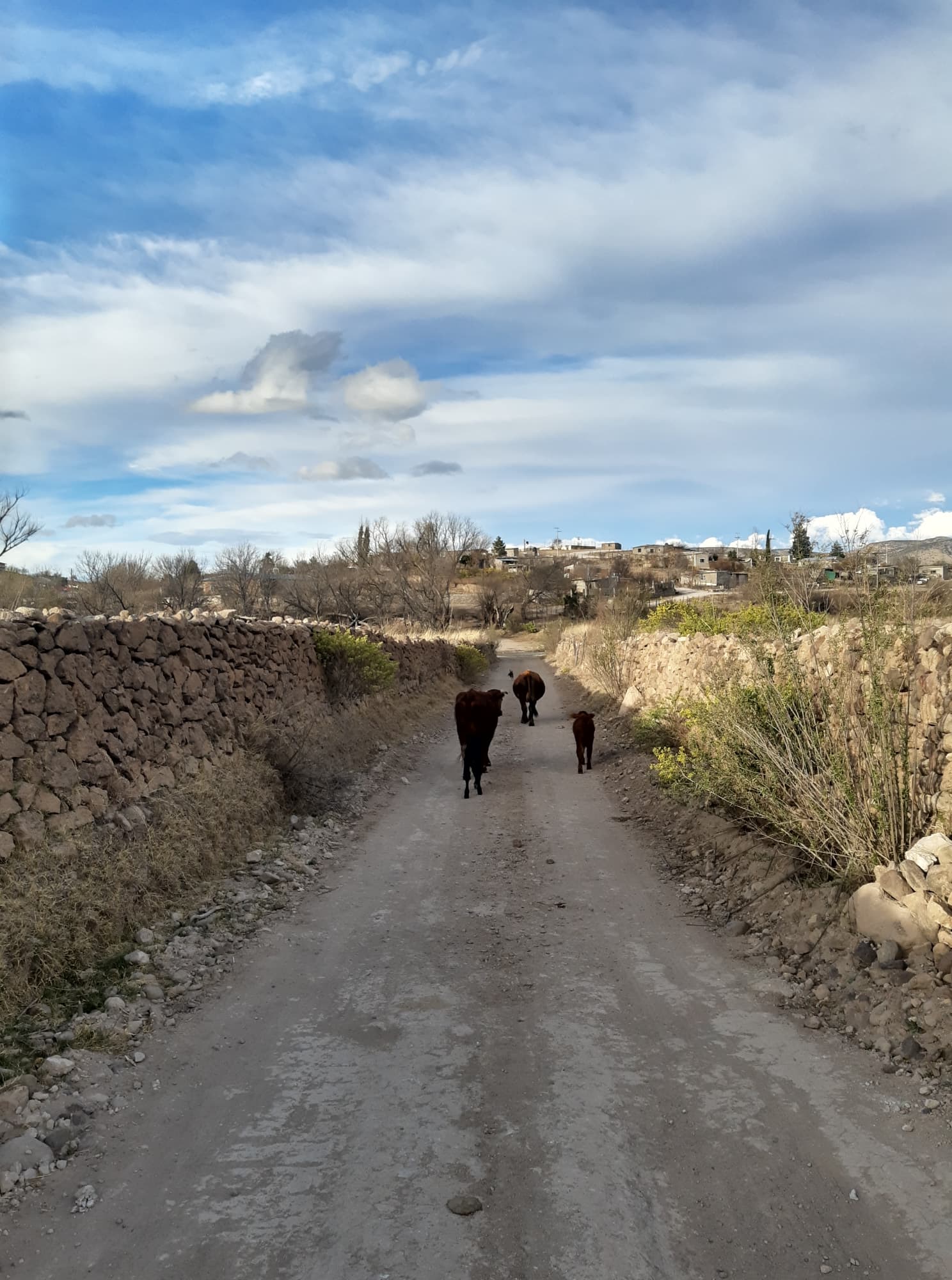 Nonoava y sus paisajes durante la cuarentena - Se Hace En